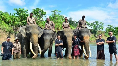 Kematian Gajah Ratna di Rahmat Zoo Masih Misteri, JGN Desak Investigasi Terbuka