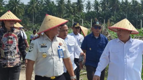 Dirpamintel Ditjenpas Tinjau Ketahanan Pangan dan Pengamanan di Lapas Labuhan Ruku
