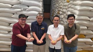 BULOG Sumut Mulai Salurkan SPHP Jagung 2026 untuk Peternak Ayam Petelur