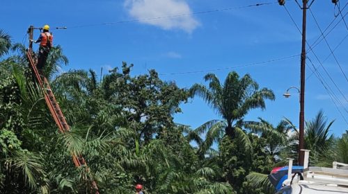 Sambut HUT ke-81 RI, PLN Kerahkan Personel Delapan ULP Perkuat Keandalan Listrik di Rantauprapat dan Kotapinang