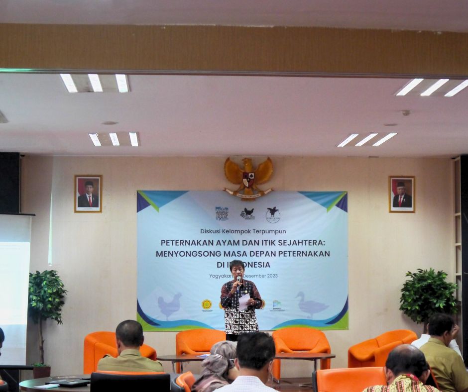 Dorong Kesejahteraan Ayam dan Itik Petelur: Animal Friends Jogja Menginisiasi Diskusi Terpumpun dengan Pemerintah Pusat dan Daerah