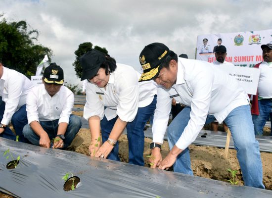 Pj Gubernur Sumut Tanam Cabai hingga Beri Bantuan ke Petani Karo