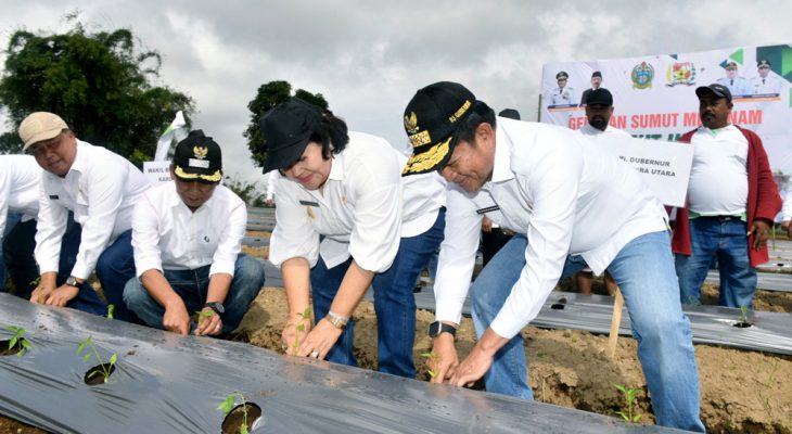 Pj Gubernur Sumut Tanam Cabai hingga Beri Bantuan ke Petani Karo