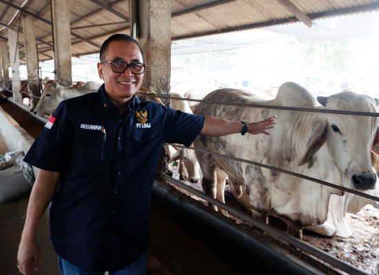 Kisah Inspiratif dari Balaraja: Arie Triyono dan Ridwan Kamil Bersatu dalam Peternakan Terintegrasi