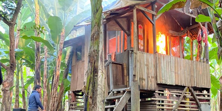 Barak Narkoba di Paya Geli Dibakar, Polisi Tangkap Pengedar dan Sita Senpi Rakitan