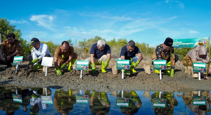 Indosat Ooredoo Hutchison Optimalkan Teknologi Untuk Konservasi Mangrove di Aceh