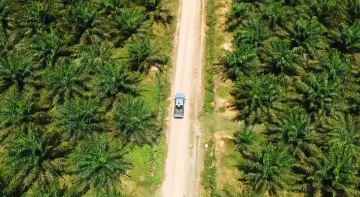 ICDX Bidik Pasar Fisik CPO di Sumut, Ini Potensinya