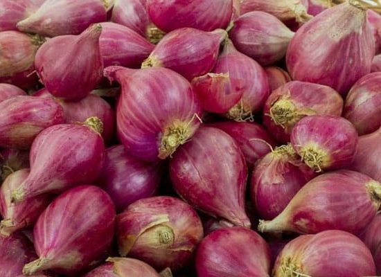 Harga Daging Ayam, Bawang Merah Turun Lagi!, Tomat Dan Ikan Tongkol Bertahan Murah