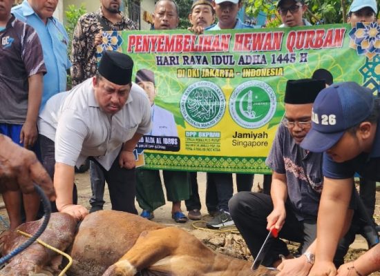 BKPRMI dan Jamiyah Singapore Sebar 1.000 Hewan Qurban di Indonesia