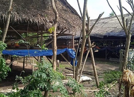 Akibat Pengusaha Kandang Ayam Warga Jatuh Korban Meminta Kandang Ayam Resahkan Warga Dibongkar