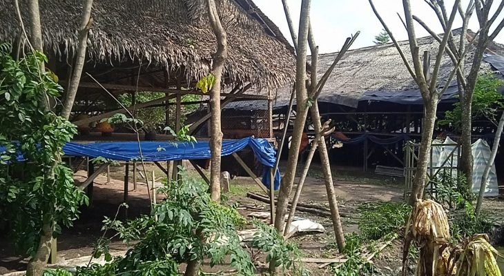 Akibat Pengusaha Kandang Ayam Warga Jatuh Korban Meminta Kandang Ayam Resahkan Warga Dibongkar