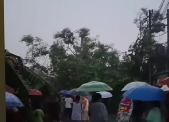 Akibat Hujan Cukup Deras, Pohon Tumbang dan Melukai 1 Orang di Jl.Multatuli