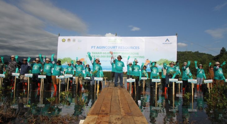 60.000 Mangrove dan 50.000 Bibit Kerang & Kepiting  Agincourt Resources Konsisten Jaga Keseimbangan Alam