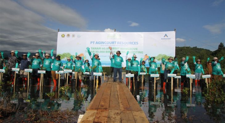 Agincourt Resources Konsisten Jaga Keseimbangan Alam, Tanam 60 Ribu Mangrove dan Tebar 50 Ribu Bibit Kerang dan Kepiting
