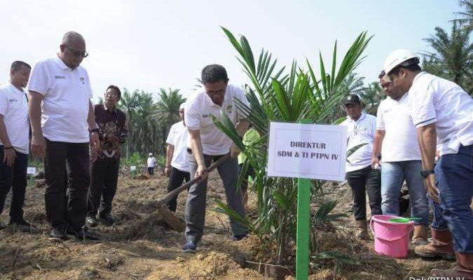 PTPN IV Regional I Realisasikan 744,93 Ha Lahan Peremajaan Sawit Rakyat