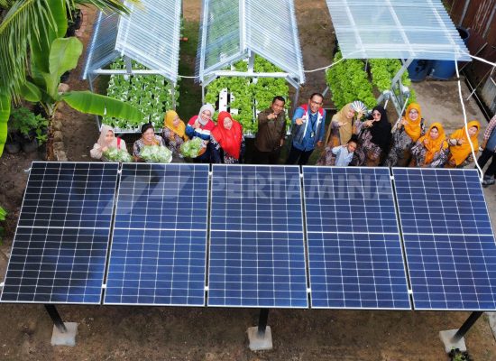 Pertamina Grup Manfaatkan Energi Hijau untuk Komunitas Hidroponik Sehati Kota Dumai