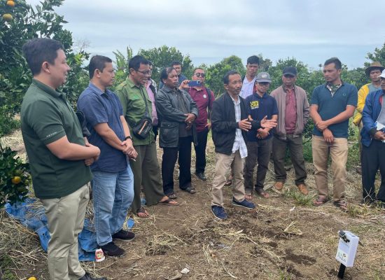 Dukung Potensi Jeruk Sumatera Utara, PLN Serahkan Bantuan Electrifying Agriculture