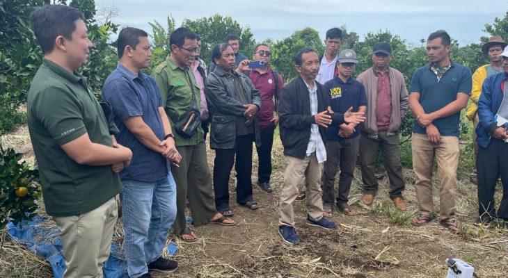 Dukung Potensi Jeruk Sumatera Utara, PLN Serahkan Bantuan Electrifying Agriculture