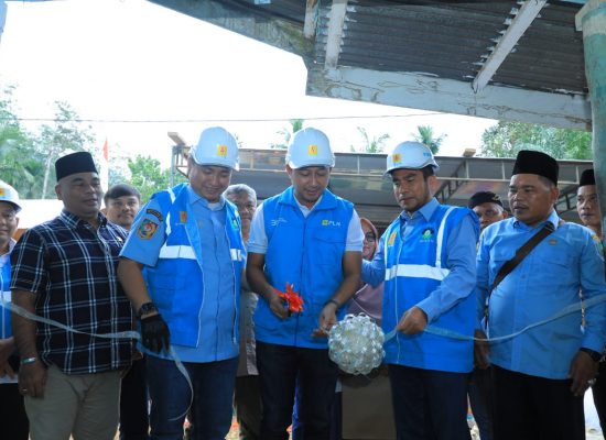 Peran BUMN Dalam Kemerdekaan RI: PLN UP3 Rantauprapat Hadirkan Senyum Kemerdekaan Warga 3 Dusun di Kabupaten Labuhan Batu Utara