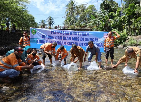 Dorong Ekosistem Perairan Lestari, Agincourt Resources Tebar Puluhan Ribu Bibit Ikan di Lubuk Larangan
