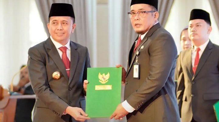 Mendagri Tunjuk Aulia Rahman Sebagai Plt Walikota Medan