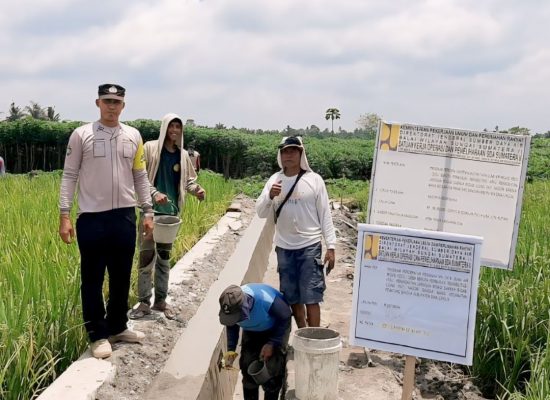 Manfaat Yang Dirasakan Petani dan Masyarakat Desa Bandar Manis Kecamatan Pematang Bandara Yang Diberikan Dirjen SDA Kementrian PUPR