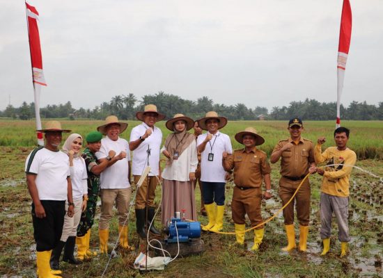 PLN UP3 Binjai dan TPID Langkat Dukung Perekonomian dengan Luncurkan Program BIS LIPIN