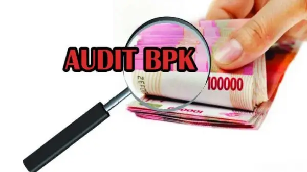 BPK Temukan Laporan Keuangan Diskannakwan Paluta Tak Sesuai Fakta Rp439 Juta