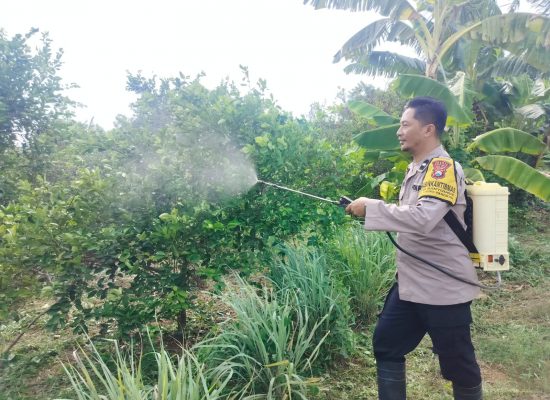 Bhabinkamtibmas Kebon Agung Jadi Garda Depan Ketahanan Pangan, Ajak Warga Manfaatkan Lahan Kosong