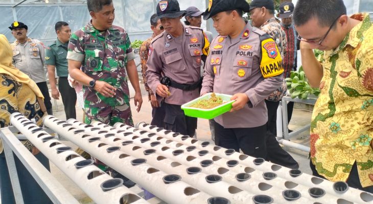 Kapolsek Krian Tinjau Program Ketahanan Pangan Di Desa Ponokawan