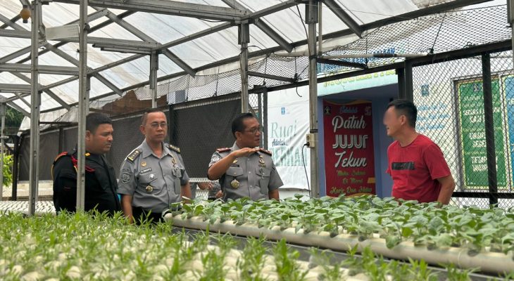 Kalapas Medan, M. Pithra Jaya Saragih Kontrol Budidaya Tanaman Hidroponik, Dukung Program Ketahanan Pangan Nasional
