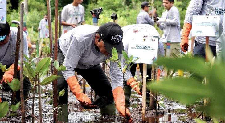Momentun Hari Menanam Pohon Indonesia, PLN Gelar Program Energizing Green Spaces di Jayapura