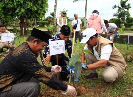 Jelang Tahun Baru, PLN UIP KLT Tanam 2000 Pohon Dalam Rangka Hari Menanam Pohon Indonesia di Pesantren Hidayatullah Balikpapan
