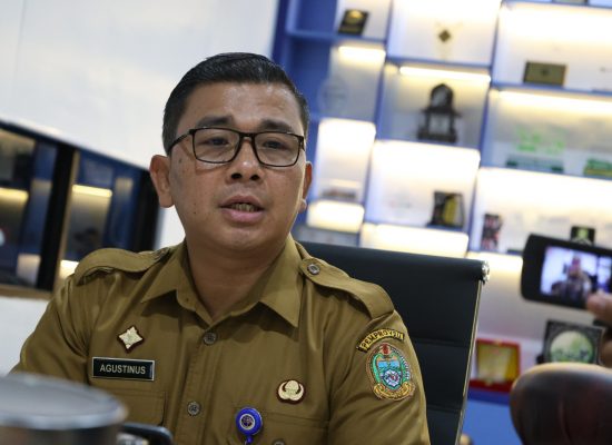 Puncak Mudik Natal 2024: Sumut Catat Lonjakan Mobilitas pada 21-22 Desember