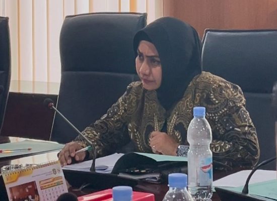 Anggota Komisi IV DPRD Medan Lailatul Badri Minta Dinas SDABMBK Atasi Banjir Jalan Ampera
