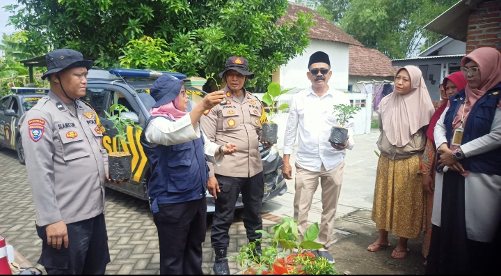 Penyerahan Bibit Tanaman dan Penyuluhan Ketahan Pangan di Desa Kemangsen Balongbendo