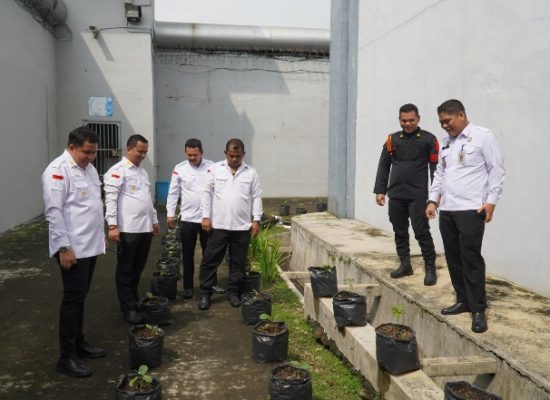 Dukung Ketahanan Pangan, Karutan Medan Cek Pertumbuhan Bibit Terong dan Cabai