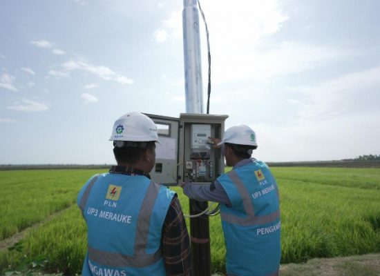 Dukung Tranformasi Pertanian Modern, Electrifying Agriculture PLN Raih 53.539 Pelanggan Baru di Tahun 2024