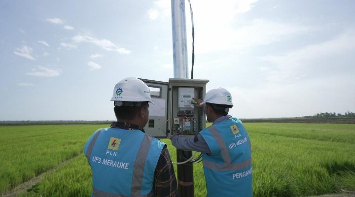 Dukung Tranformasi Pertanian Modern, Electrifying Agriculture PLN Raih 53.539 Pelanggan Baru di Tahun 2024