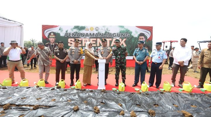 Penanaman 1 Juta Hektare Jagung: Polda Sumut Fokus Produksi 100 Ribu Ton