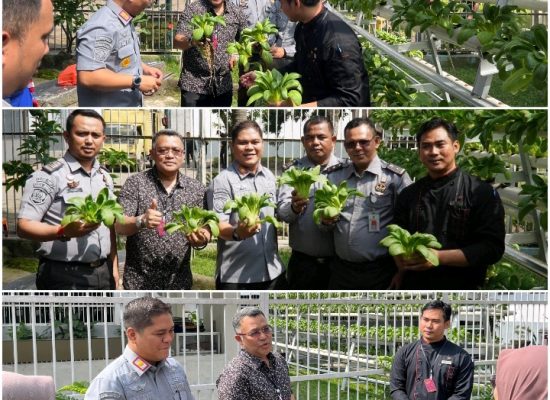 Karutan Kelas I Medan Panen Sawi Hidroponik Bersama GM Hotel Grand Mercure