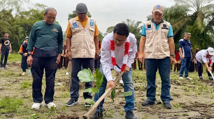 Bank Sumut Gelar Gerakan Tanam Aren 2.500 Bibit Pohon Di Pesantren Tarbiyah Islamiyah Amrullah Akbar