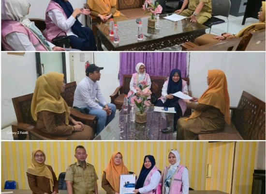 Srikandi PLN Kawal Percepatan Penyambungan Pelanggan Tegangan Menengah Jelang Ramadhan