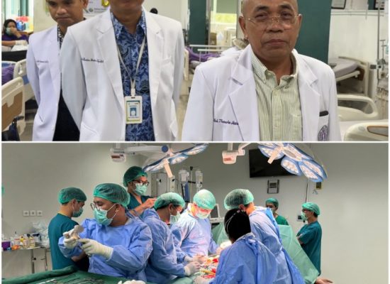 Transplantasi Ginjal Jadi Solusi Terbaik Penyakit Ginjal Kronis, Bisa di RS Adam Malik