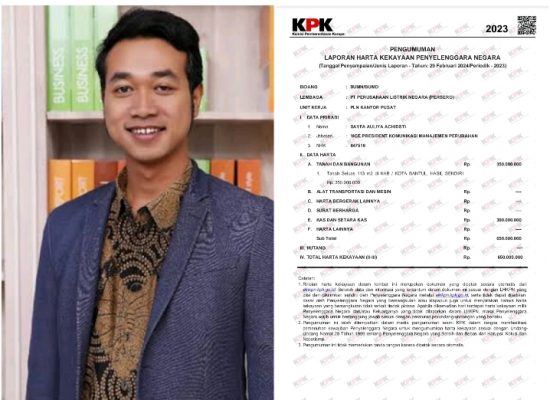 Diduga Bohongi Publik Soal LHKPN, IWO Desak KPK Panggil dan Periksa VP PLN Sayfa Auliya Achidsti
