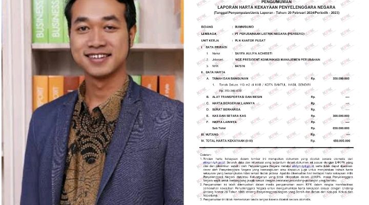 Diduga Bohongi Publik Soal LHKPN, IWO Desak KPK Panggil dan Periksa VP PLN Sayfa Auliya Achidsti