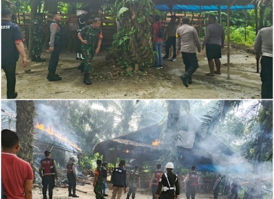 Arena Judi Sabung Ayam di Pancur Batu Digerebek, Denpom I/5 Medan Turun Tangan