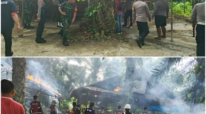 Arena Judi Sabung Ayam di Pancur Batu Digerebek, Denpom I/5 Medan Turun Tangan