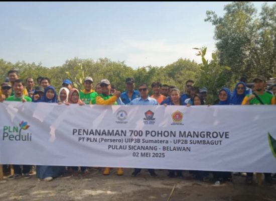 PT PLN Bersama HNSI dan Relawan Wak Young Tanam Pohon Mangrove di Belawan