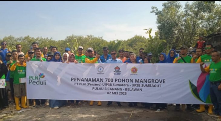 PT PLN Bersama HNSI dan Relawan Wak Young Tanam Pohon Mangrove di Belawan